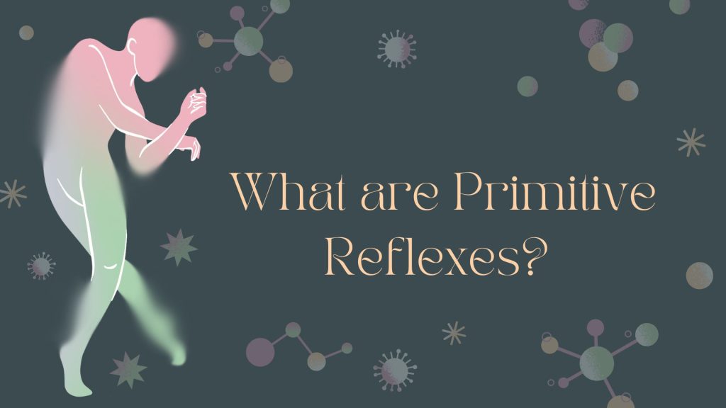 What are Primitive Reflexes?